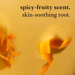 Philosophy Exclusive Purity Facial Cleanser With Turmeric Extract 240ml -More Than Just a Hair care products shop. 13033297 1524865590795095